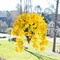 Artificial Hibiscus Fake Hanging Flowers Plants for Outdoors Spring Summer Decor, 2pcs Yellow Silk Hibiscus Long Trailing Vines UV Resistant Realistic Faux Flower